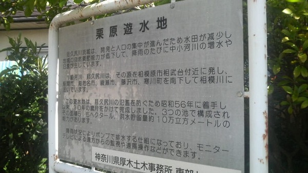 �I���V���r�X�|�[�c�L��