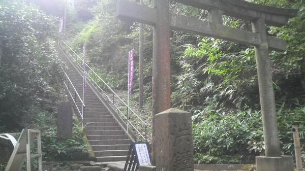 �^���i�~�o���j