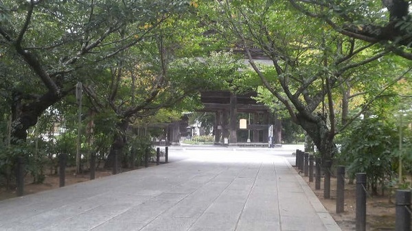 �������O��