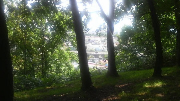 �t�������