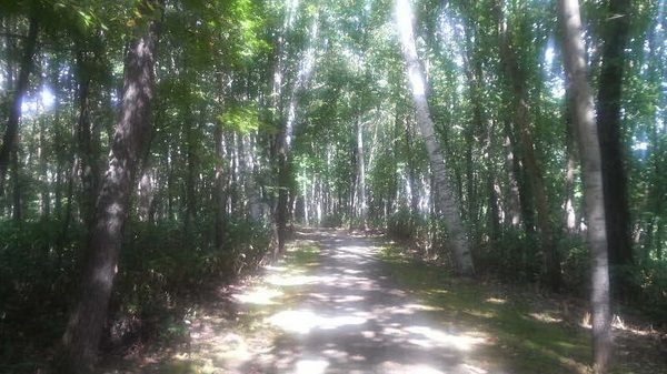 �t�������