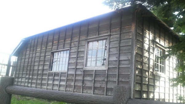 ���S�_�쎎������������