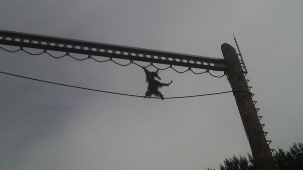 ���R������