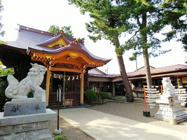 ���_�_��