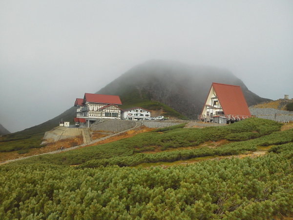 �����o�X�^�[�~�i��