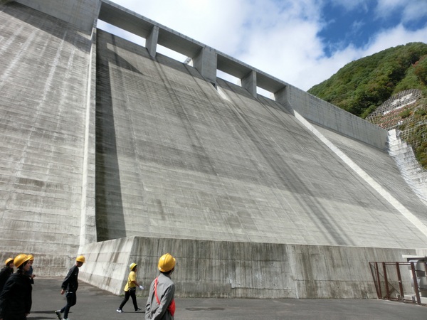 ������_��