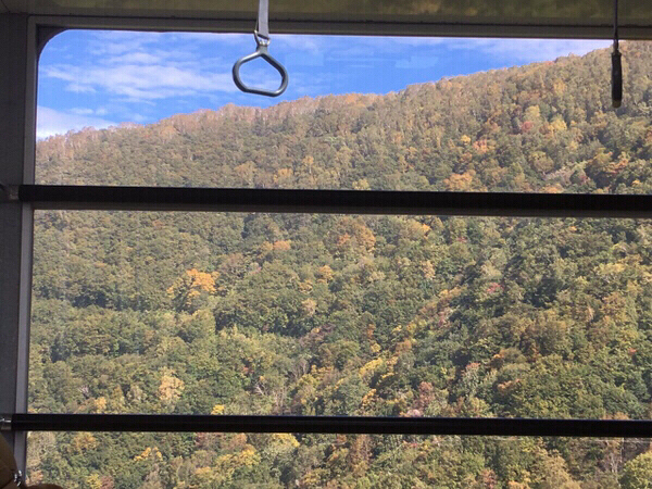 �����}�E���e�����]�[�g