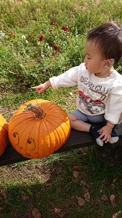 ���[�N�q���t�@�[��