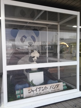 ���w�W���C�A���g�p���_��