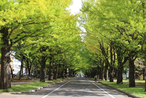 �k�C����w