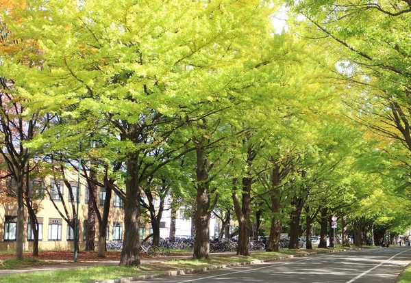 �k�C����w