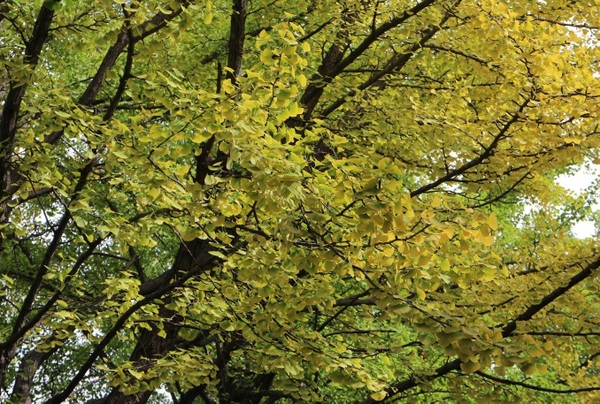 �k�C����w