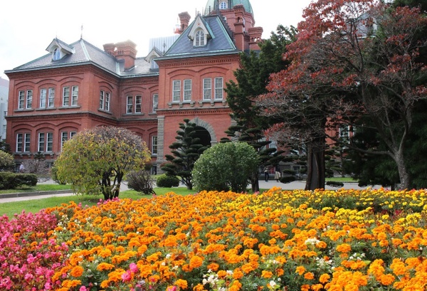 �k�C�������{����(�Ԃ�񂪒���)