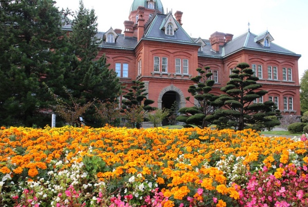 �k�C�������{����(�Ԃ�񂪒���)