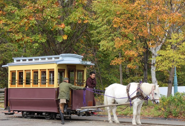 �k�C���J��̑�