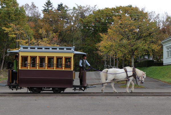 �k�C���J��̑�