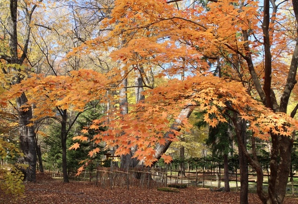 �_�y������