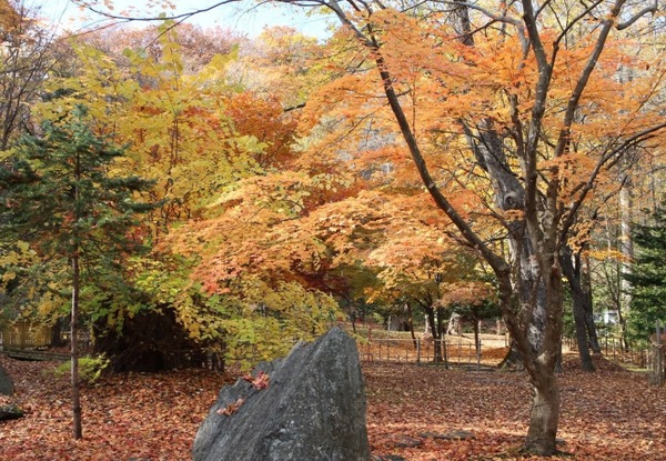 �_�y������