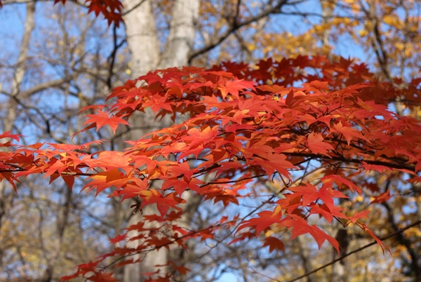 �_�y������