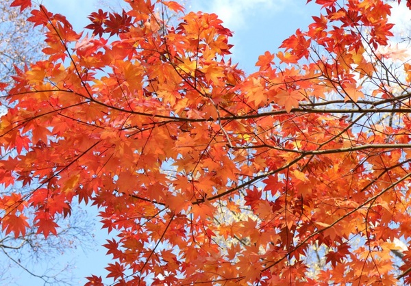 �_�y������