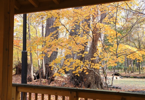 �_�y������