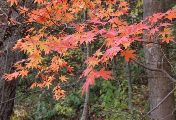 �_�y������