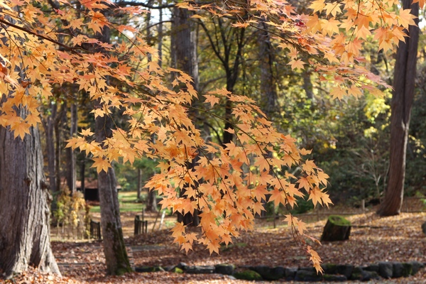 �_�y������