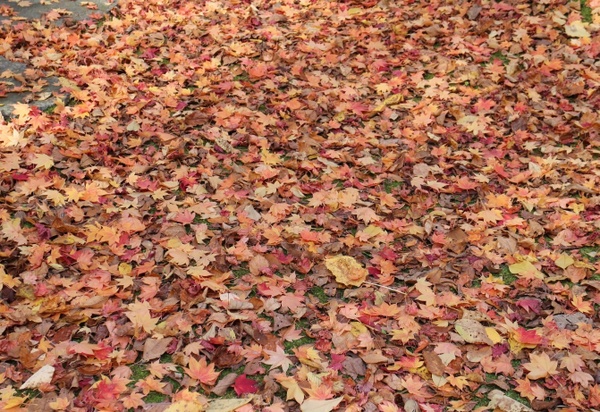 �_�y������