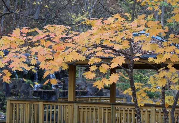 �_�y������