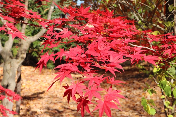 �_�y������