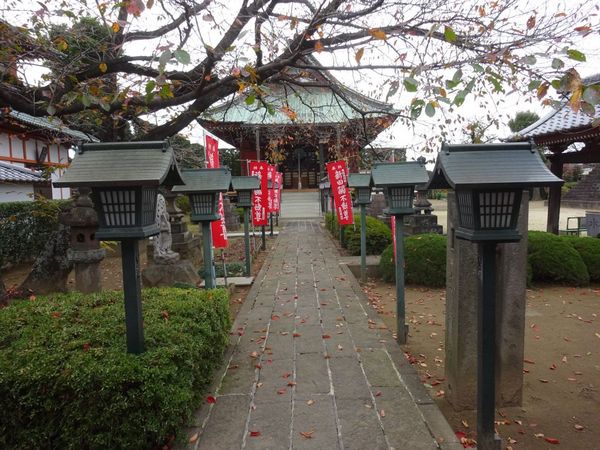 �V�c����� �����@