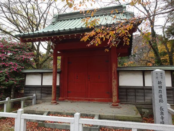 ���c�s���j����