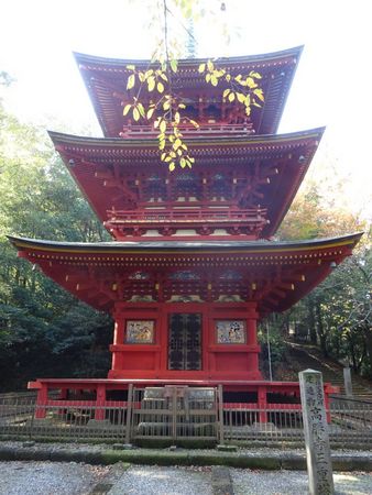 �������O�d��