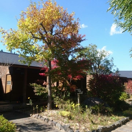 ���R����@�l�G�ʂ̓�