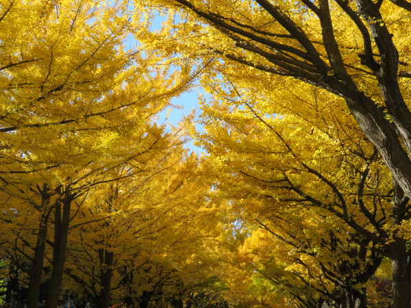 �k��C�`���E����