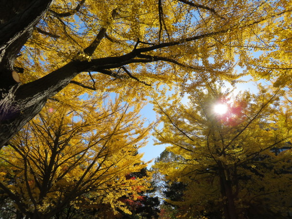 �k��C�`���E����