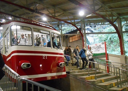 ��C�d�S�Ɋy���w