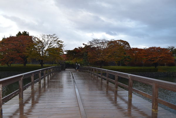 �ܗŊs����