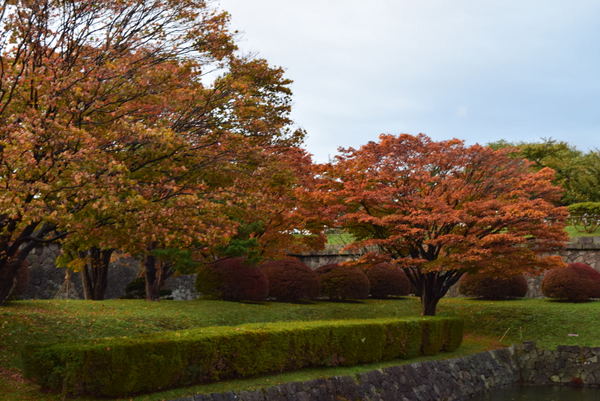 �ܗŊs����