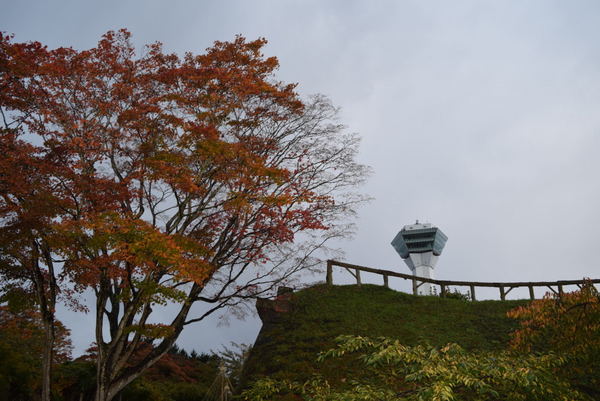 �ܗŊs����