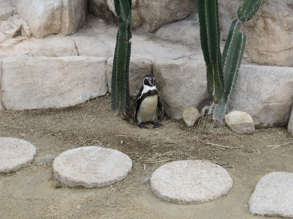 ���֎s�������̂��������فE�C����