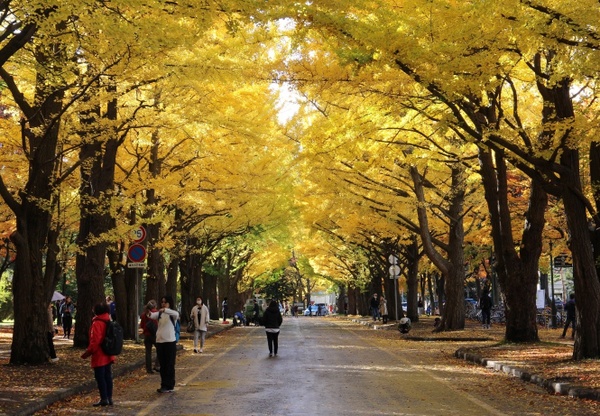 �k��C�`���E����