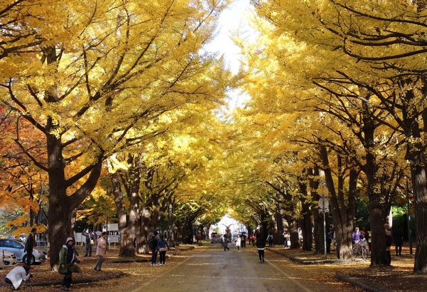 �k��C�`���E����