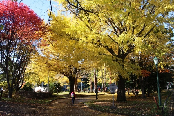 �k��C�`���E����