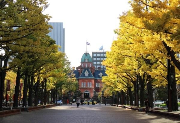 �k�C�������{����(�Ԃ�񂪒���)