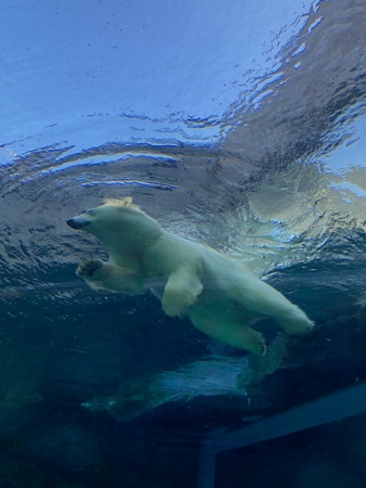 �~�R������