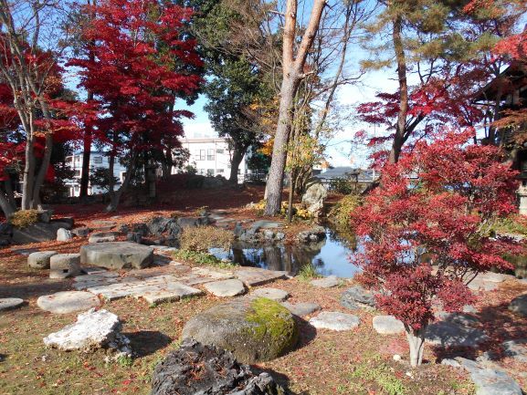 ����J�����̊� ���e�@