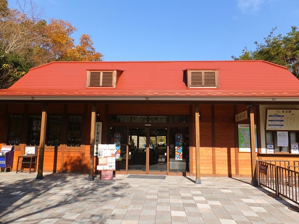 SL�����w���X