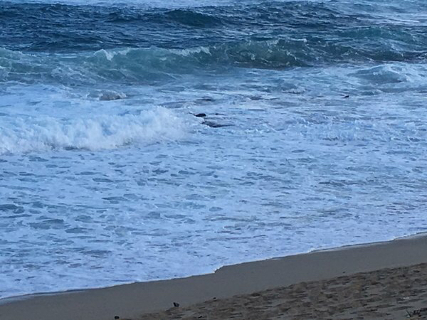 ハートロックの写真一覧 じゃらんnet