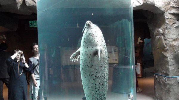 ���R������